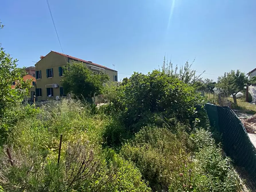 Immagine 11 di Porzione di casa in vendita  in Isola di Pellestrina  a Venezia
