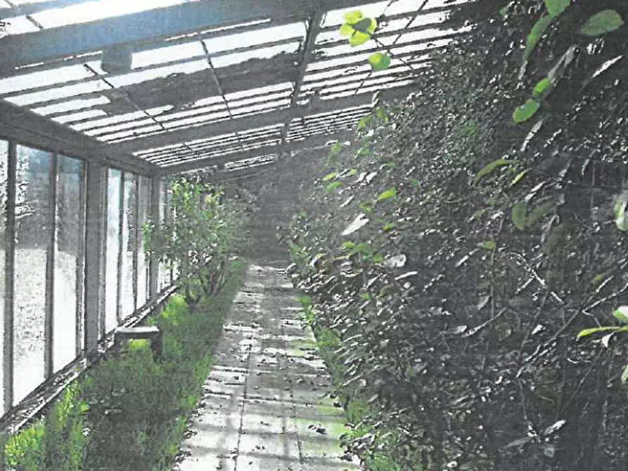 Immagine 3 di Villa in vendita  in Via de’ Medici  a Fucecchio