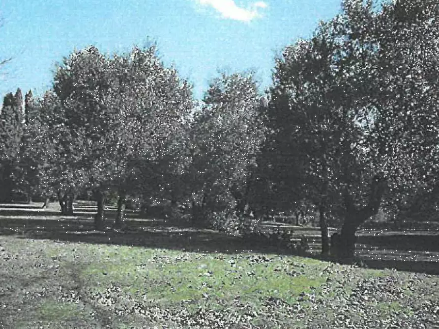 Immagine 8 di Villa in vendita  in Via de’ Medici  a Fucecchio