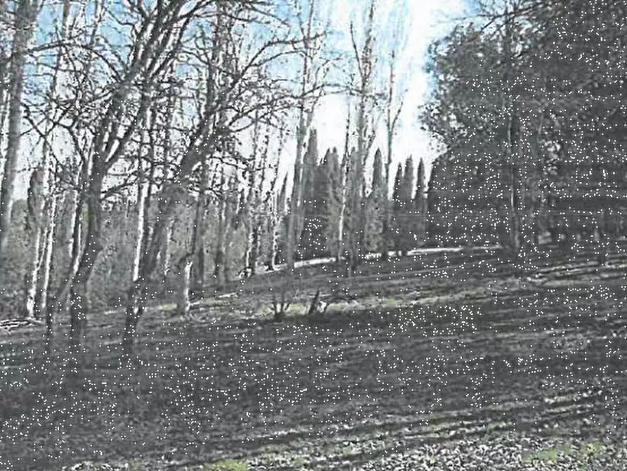 Immagine 9 di Villa in vendita  in Via de’ Medici  a Fucecchio