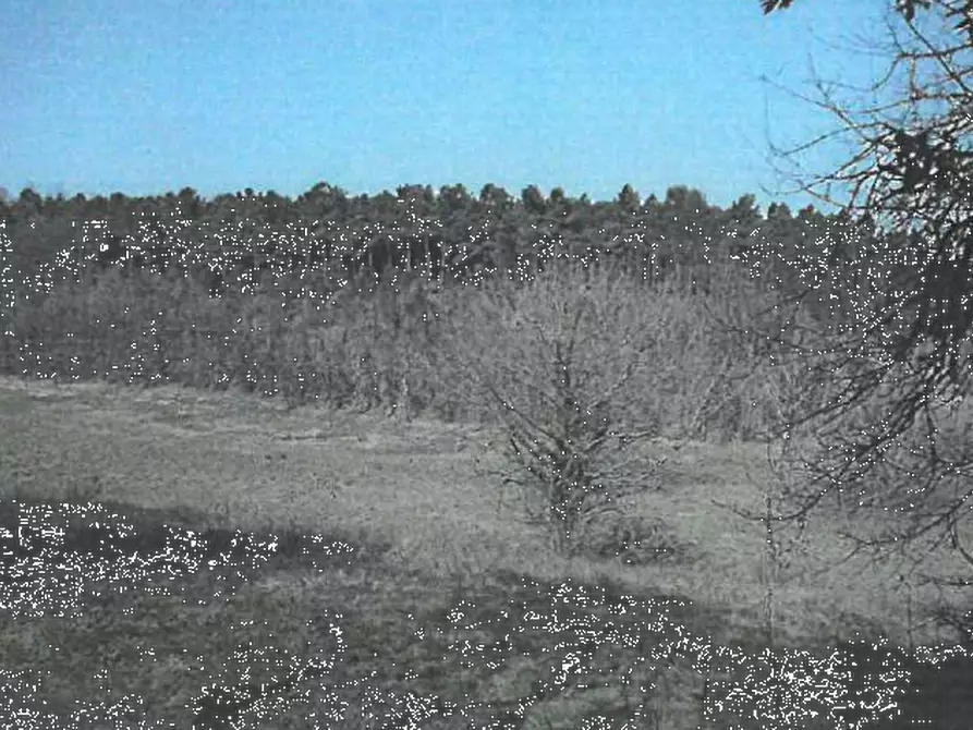 Immagine 10 di Villa in vendita  in Via de’ Medici  a Fucecchio