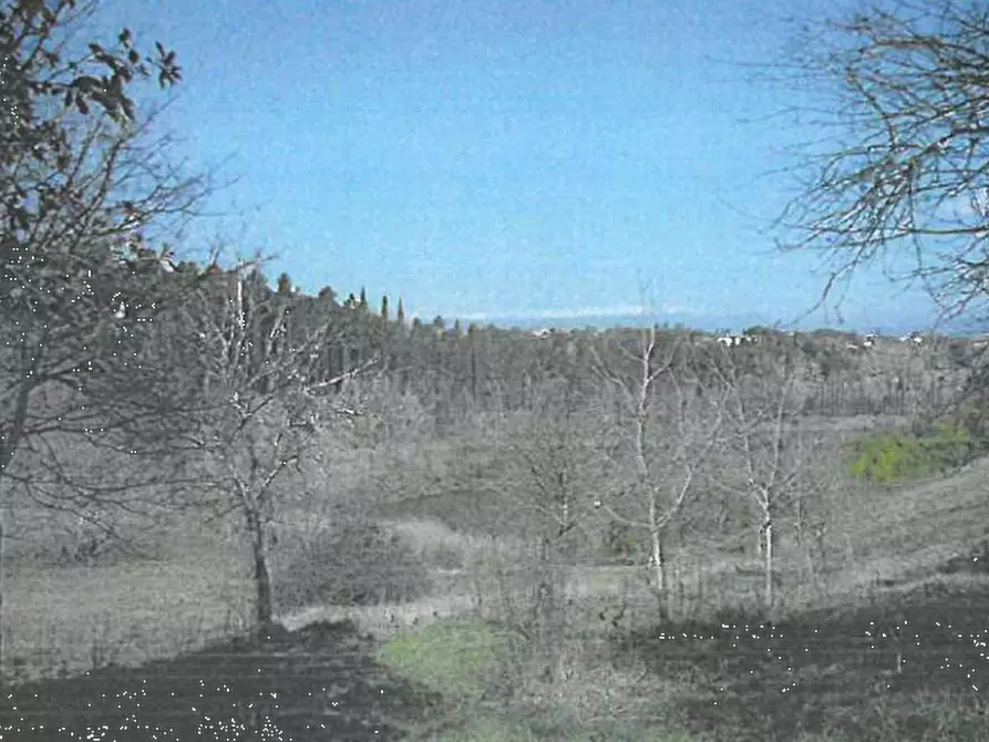 Immagine 11 di Villa in vendita  in Via de’ Medici  a Fucecchio