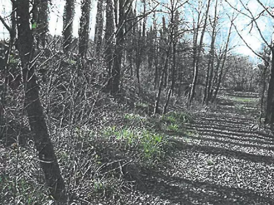 Immagine 12 di Villa in vendita  in Via de’ Medici  a Fucecchio