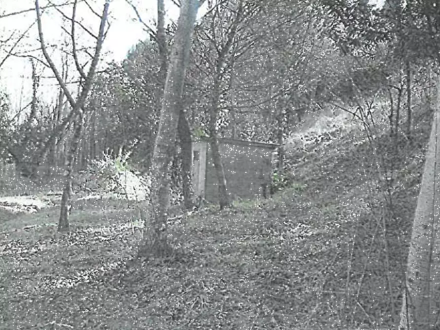 Immagine 13 di Villa in vendita  in Via de’ Medici  a Fucecchio