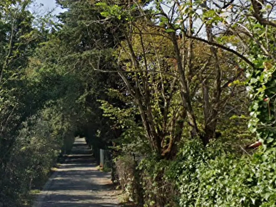 Immagine 9 di Terreno agricolo in vendita  in Via di Fagna a Scarperia