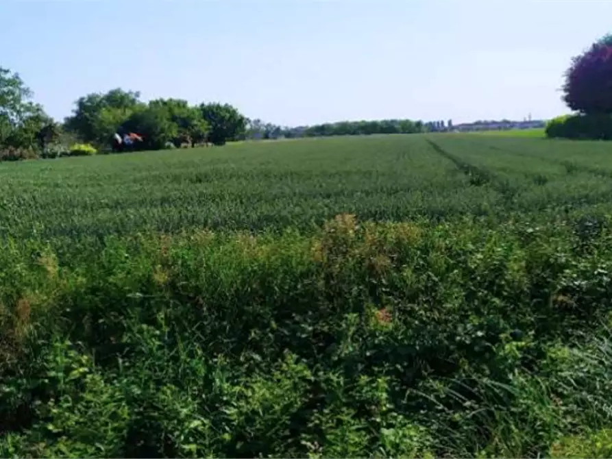 Immagine 1 di Terreno agricolo in vendita  in Località San Donà di piave a San Donà Di Piave