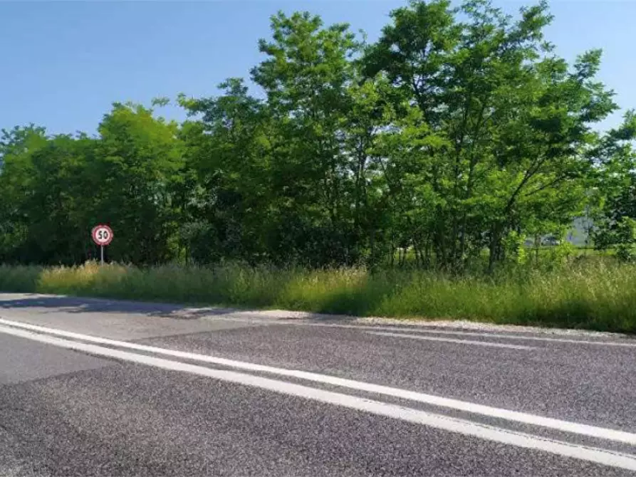 Immagine 2 di Terreno agricolo in vendita  in Località San Donà di piave a San Donà Di Piave