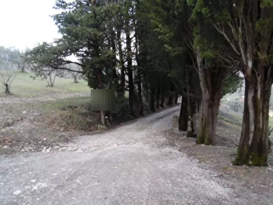 Immagine 7 di Rustico / casale in vendita  in Via dei Bosconi a Pontassieve