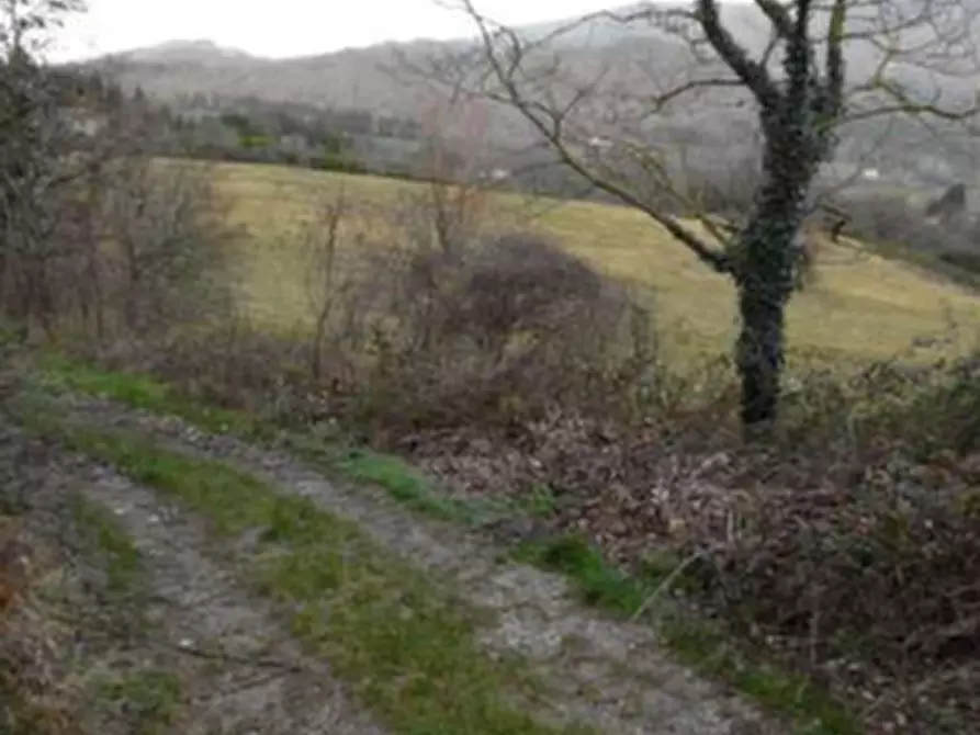 Immagine 11 di Rustico / casale in vendita  in Via dei Bosconi a Pontassieve