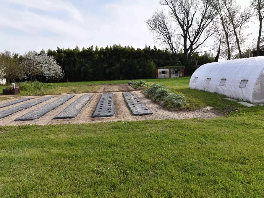 Immagine 11 di Villa in vendita  in Via Camillo Benso Conte di Cavour a Ceggia