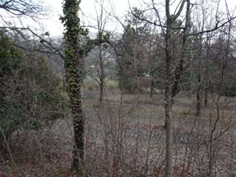 Immagine 31 di Rustico / casale in vendita  in Via dei Bosconi a Pontassieve