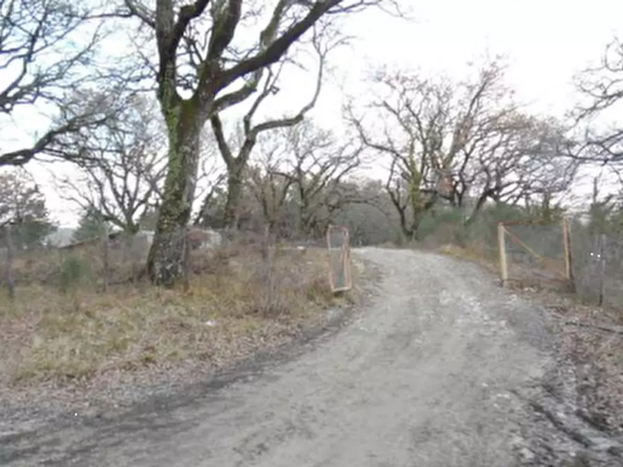 Immagine 32 di Rustico / casale in vendita  in Via dei Bosconi a Pontassieve