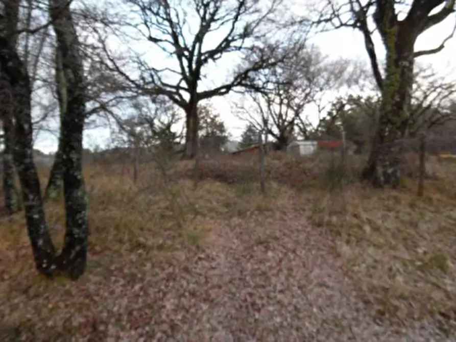 Immagine 34 di Rustico / casale in vendita  in Via dei Bosconi a Pontassieve