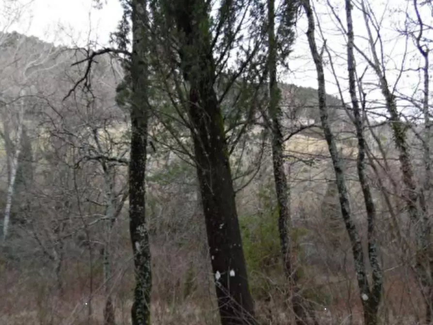 Immagine 35 di Rustico / casale in vendita  in Via dei Bosconi a Pontassieve