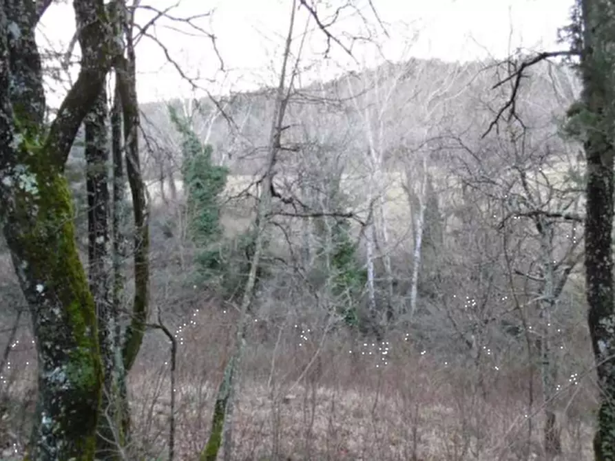 Immagine 36 di Rustico / casale in vendita  in Via dei Bosconi a Pontassieve