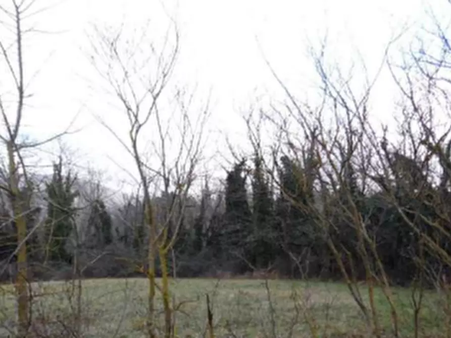 Immagine 38 di Rustico / casale in vendita  in Via dei Bosconi a Pontassieve