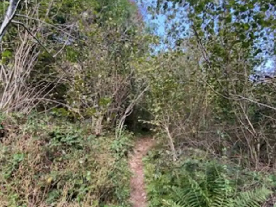 Immagine 13 di Villetta a schiera in vendita  in Via Gavazzo a Valbondione