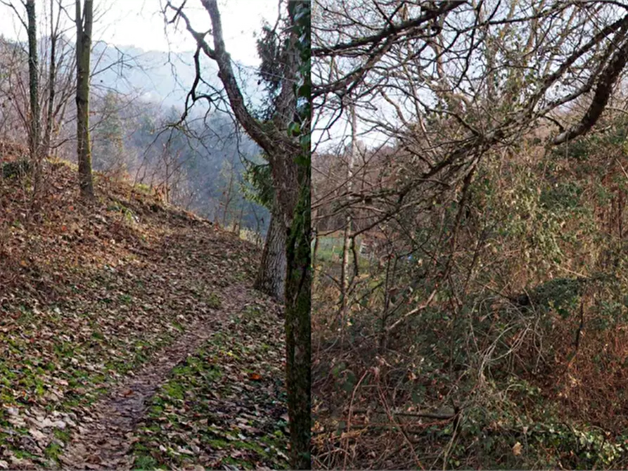 Immagine 2 di Terreno agricolo in vendita  in Via Colle a San Pellegrino Terme