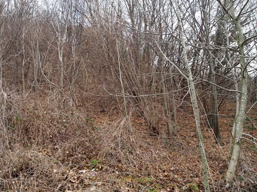 Immagine 3 di Terreno agricolo in vendita  in Via Colle a San Pellegrino Terme