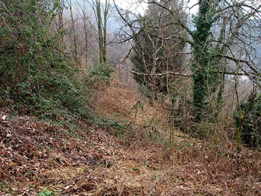 Immagine 4 di Terreno agricolo in vendita  in Via Colle a San Pellegrino Terme