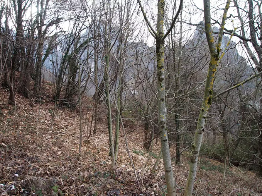 Immagine 5 di Terreno agricolo in vendita  in Via Colle a San Pellegrino Terme
