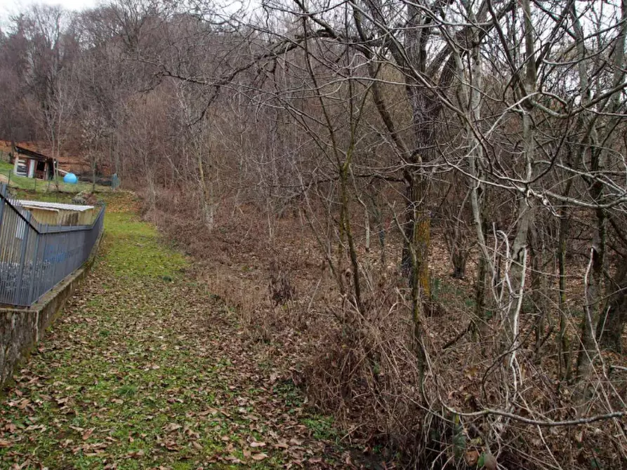 Immagine 5 di Rustico / casale in vendita  in Via Colle a San Pellegrino Terme