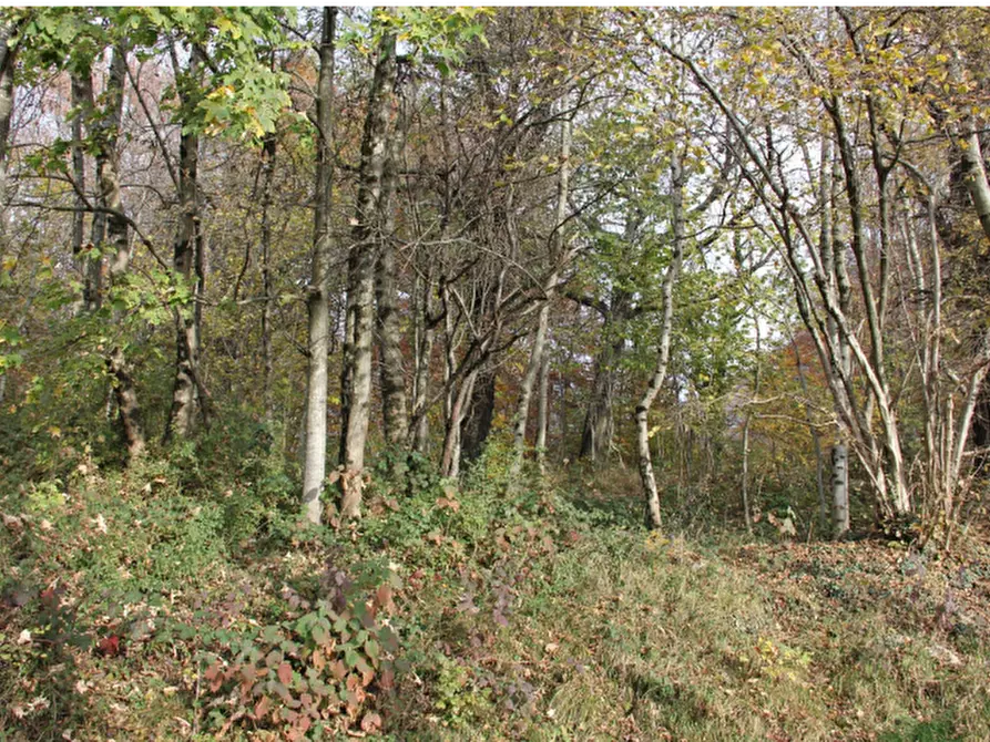Immagine 1 di Terreno agricolo in vendita  in Località Costa di Serina a Serina