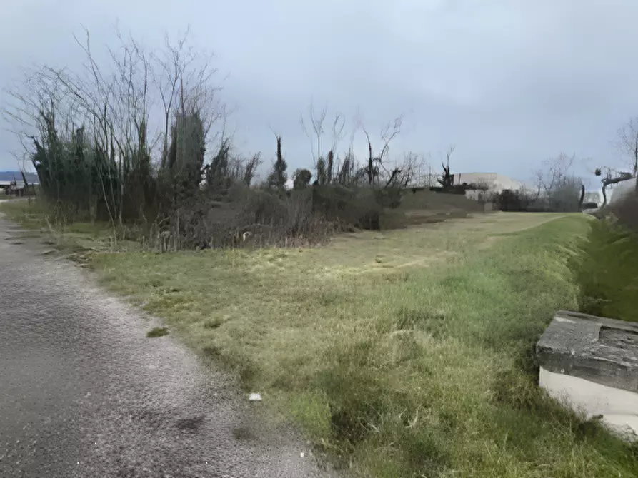 Immagine 1 di Terreno agricolo in vendita  in Località San Quirino a San Quirino