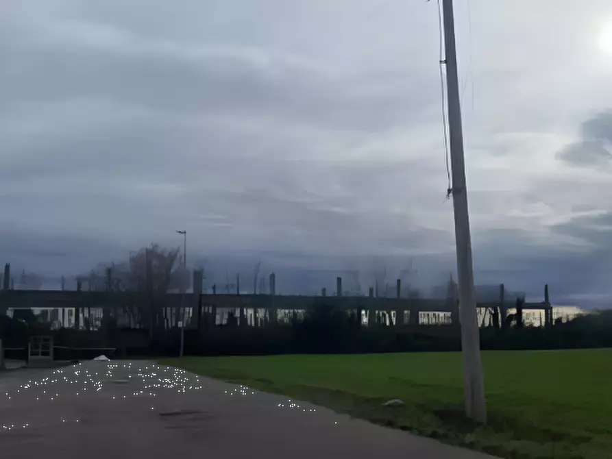 Immagine 1 di Terreno edificabile in vendita  in località San Quirino a San Quirino