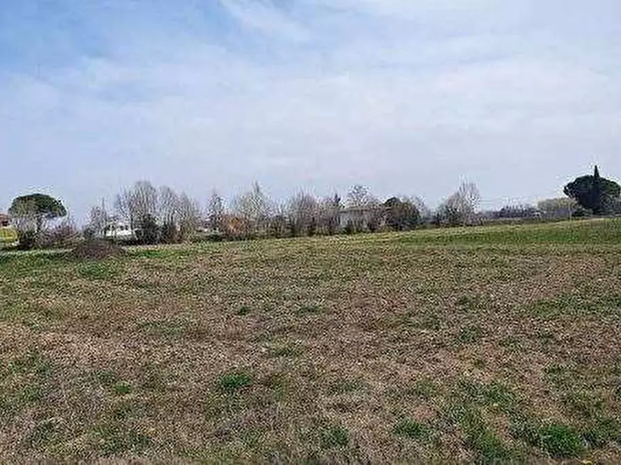 Immagine 2 di Terreno agricolo in vendita  in Via Cornizzai a Pasiano Di Pordenone