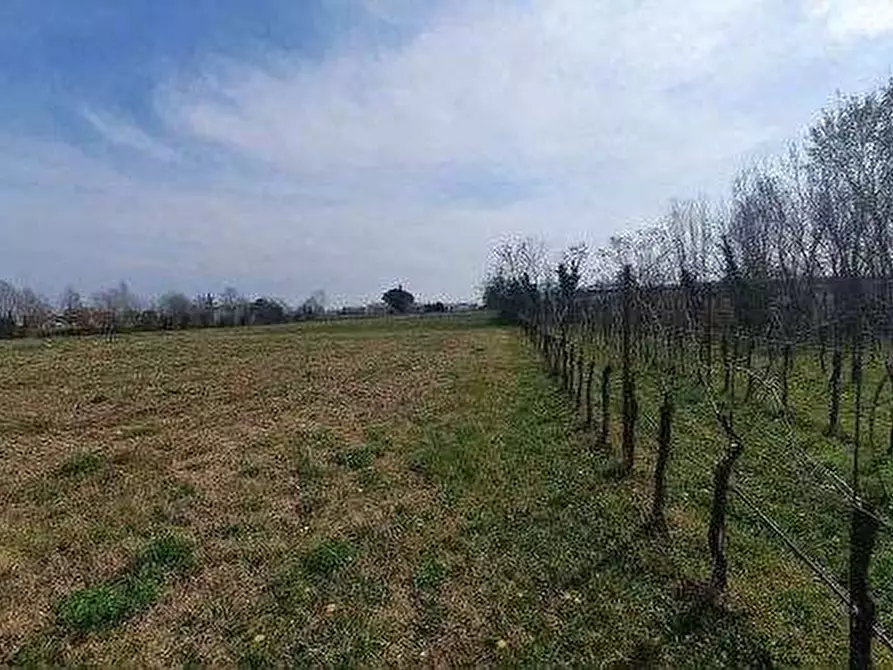 Immagine 4 di Terreno agricolo in vendita  in Via Cornizzai a Pasiano Di Pordenone