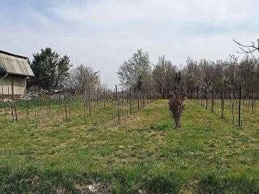 Immagine 8 di Terreno agricolo in vendita  in Via Cornizzai a Pasiano Di Pordenone