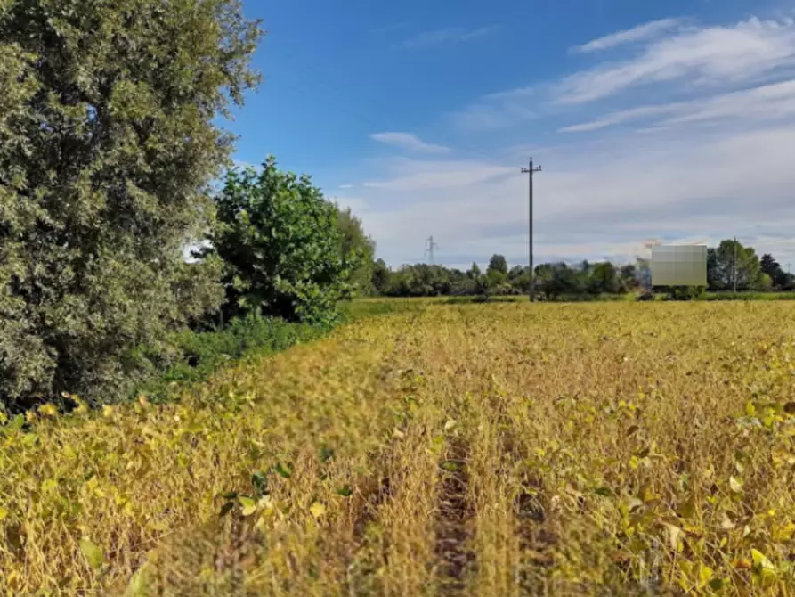 Immagine 1 di Terreno agricolo in vendita  in Località di Fossalta di Portogruaro a Fossalta Di Portogruaro