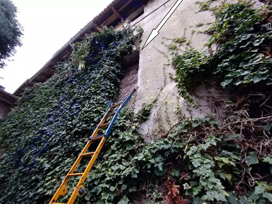 Immagine 4 di Magazzino in vendita  in Piazza Vittorio De Asarta a Ronchis