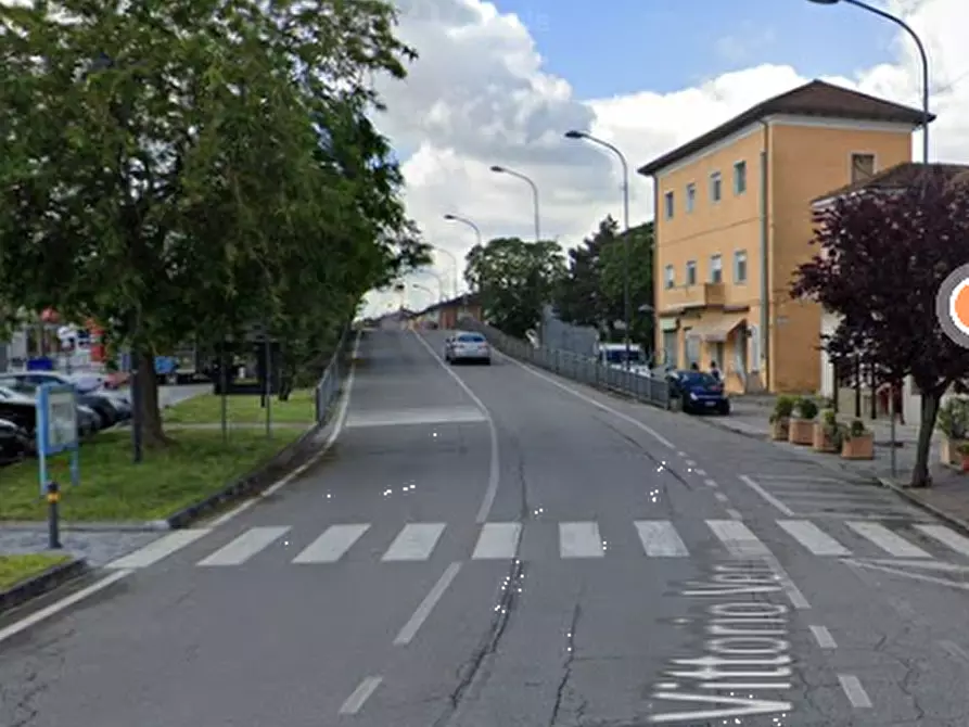 Immagine 4 di Terreno agricolo in vendita  in Località Mesola a Mesola