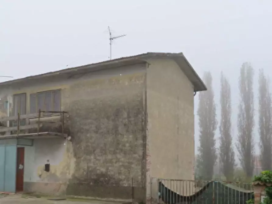 Immagine 12 di Casa indipendente in vendita  in Via Roma a Frassinelle Polesine