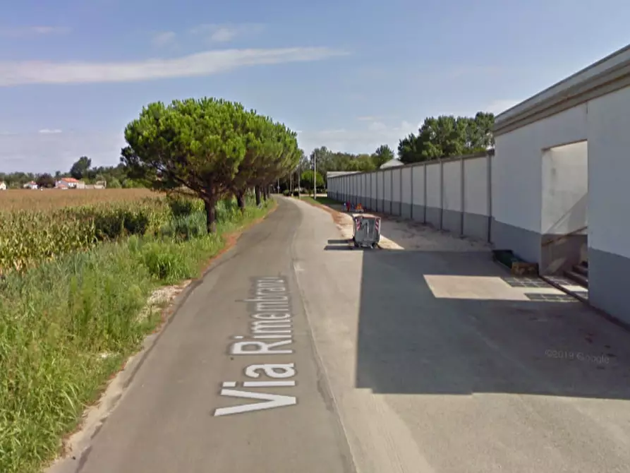 Immagine 4 di Porzione di casa in vendita  in Viale Rimembranze a Mesola