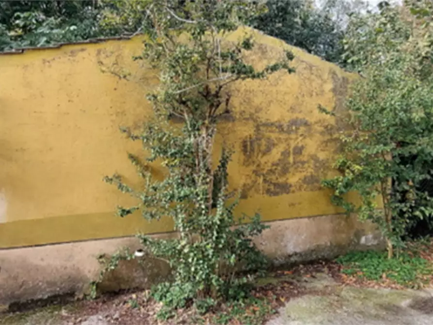 Immagine 7 di Casa indipendente in vendita  in Via Monti a Frassinelle Polesine