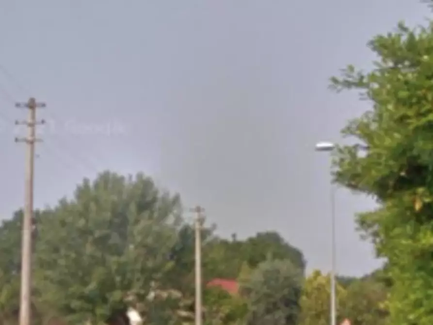 Immagine 18 di Casa indipendente in vendita  in Via Monti a Frassinelle Polesine