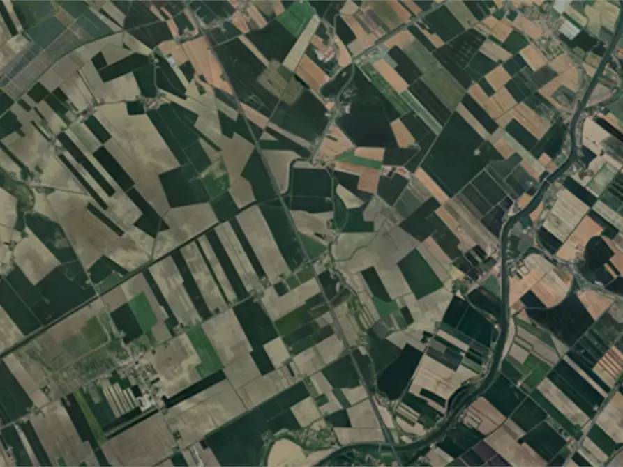 Immagine 23 di Casa indipendente in vendita  in Via Monti a Frassinelle Polesine