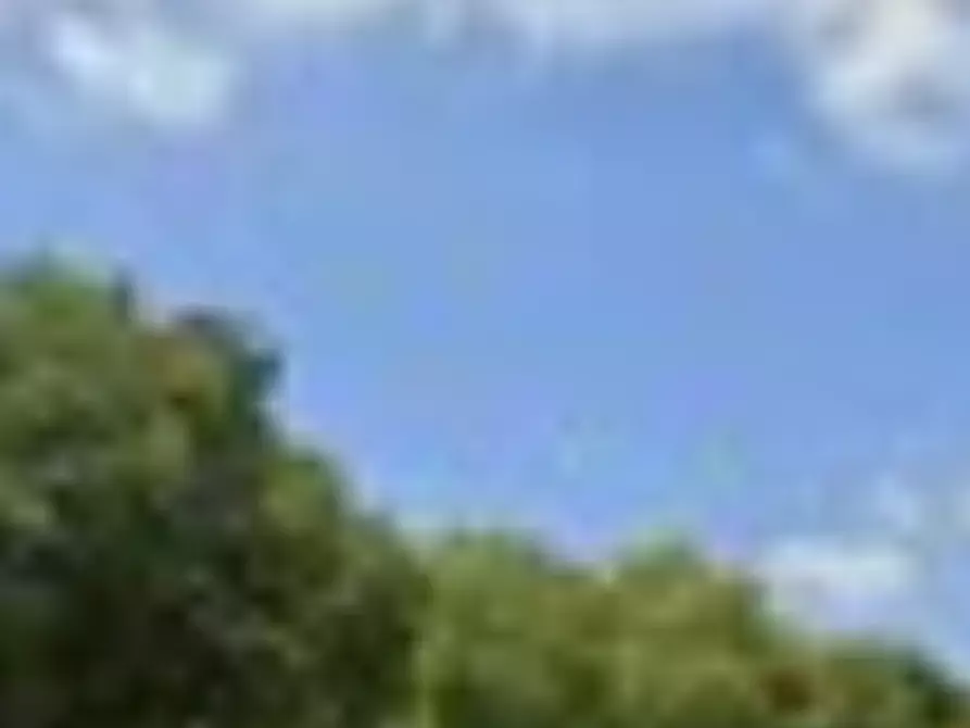 Immagine 5 di Capannone industriale in vendita  in Localita' Iera Campana a Borgo Val Di Taro