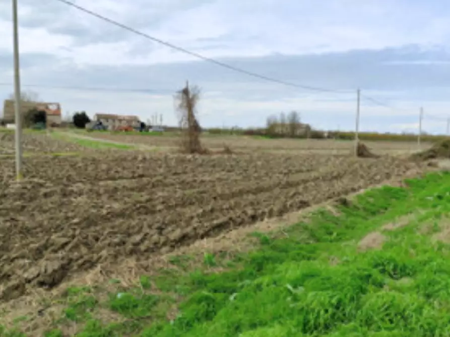 Immagine 1 di Terreno agricolo in vendita  in Via Nazionale a Canaro
