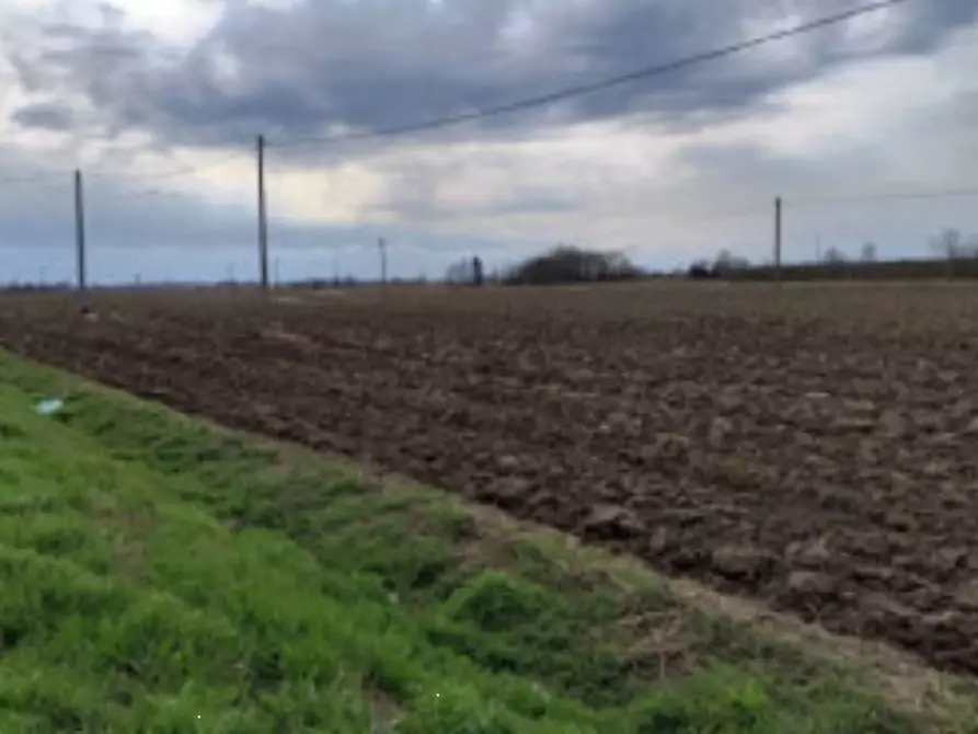 Immagine 3 di Terreno agricolo in vendita  in Via Nazionale a Canaro