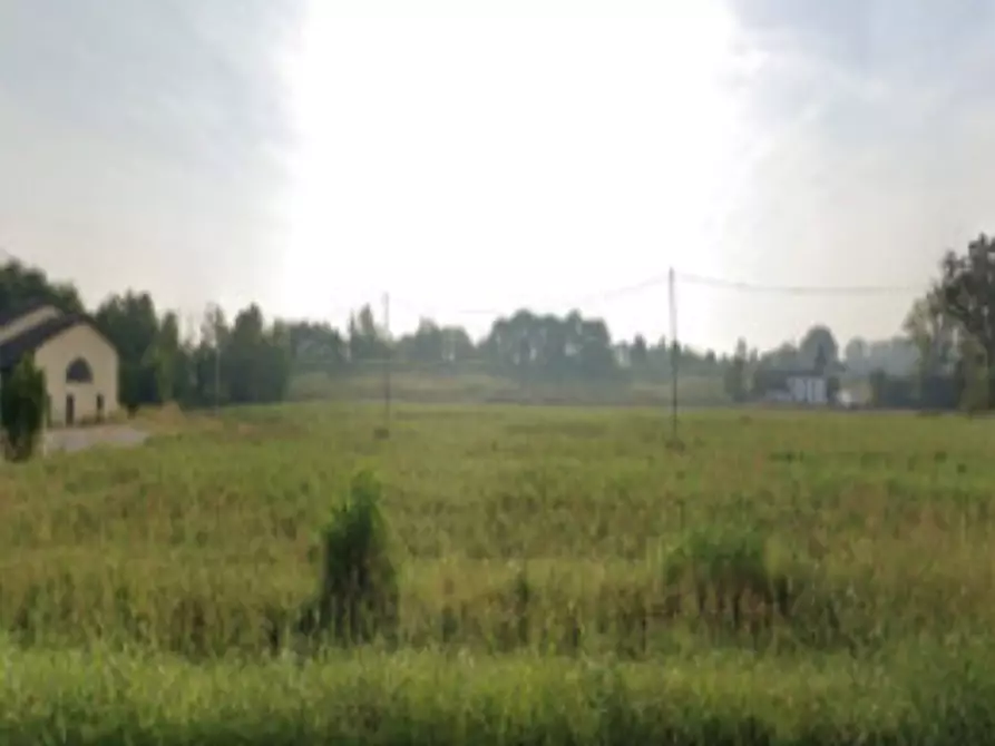 Immagine 5 di Terreno agricolo in vendita  in Via Nazionale a Canaro