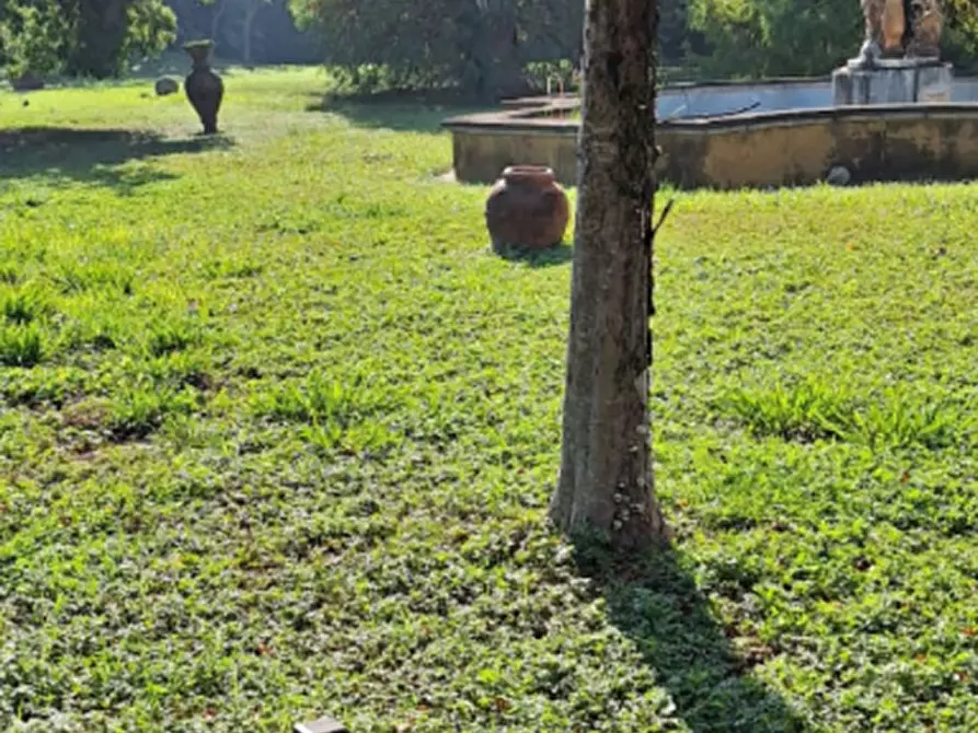 Immagine 2 di Terreno agricolo in vendita  in Via Giuseppe Baroni a Busseto