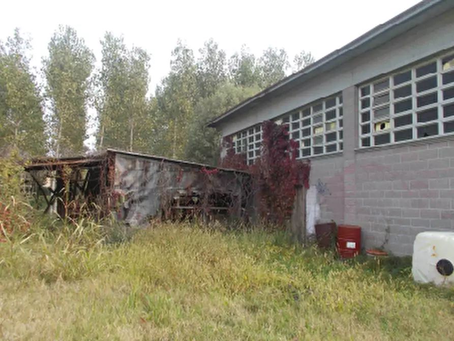 Immagine 3 di Capannone industriale in vendita  in Via Brenta  a San Giorgio Delle Pertiche
