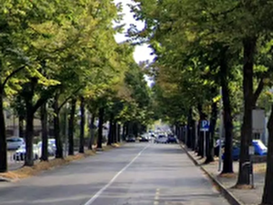 Immagine 17 di Stabile in vendita  in Via Bertini a Forli'