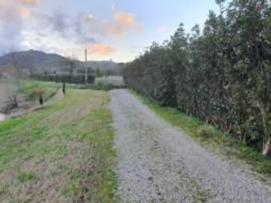 Immagine 9 di Stabile in vendita  in Via del Molino a Castrocaro Terme E Terra Del Sole