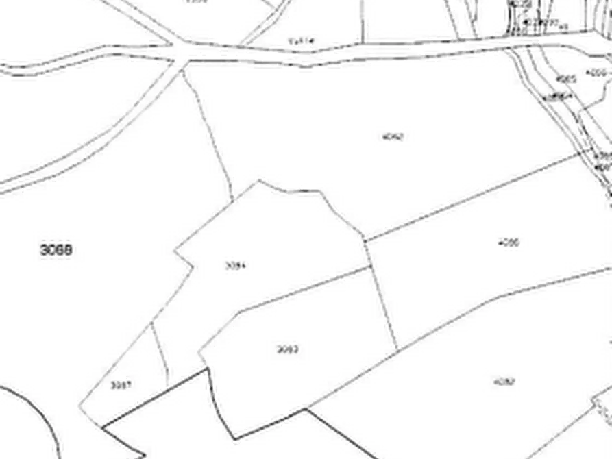 Immagine 6 di Terreno agricolo in vendita  in Località Brienno a Brienno