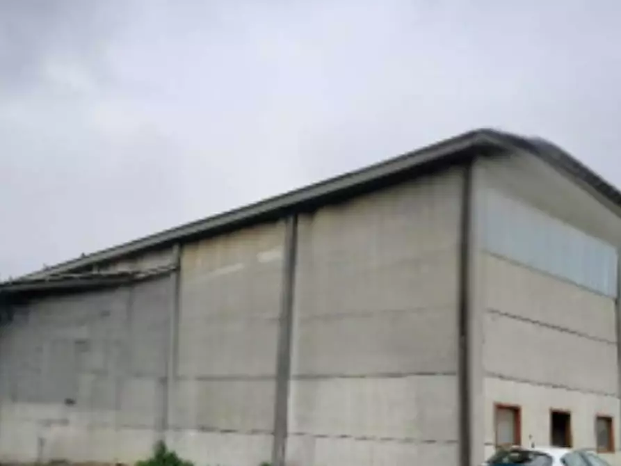 Immagine 4 di Casa indipendente in vendita  in Via Macoda di Sopra  a Ravenna